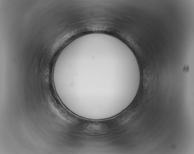 X0000113990631200910231730