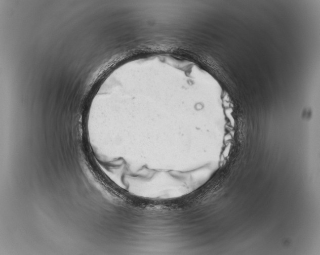 X0000113990634200910231730