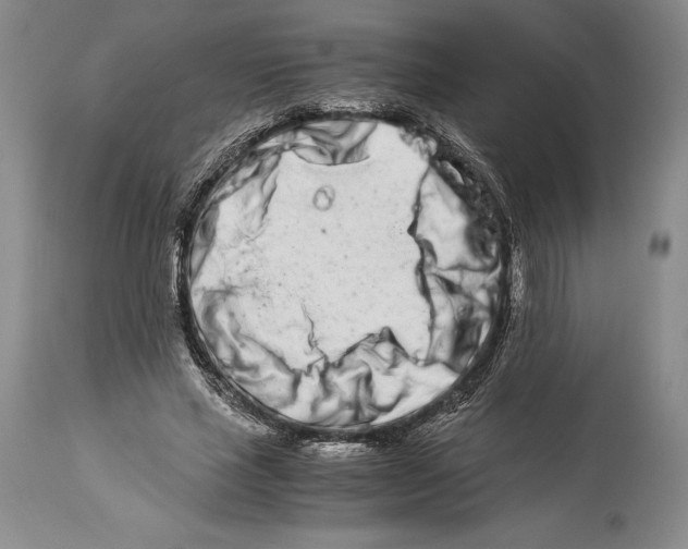 X0000113990637200910231730