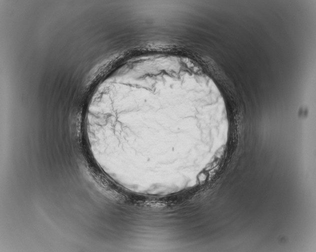 X0000113990640200910231730