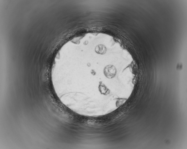 X0000113990641200910231730