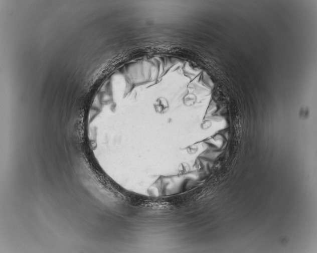 X0000113990642200910231730