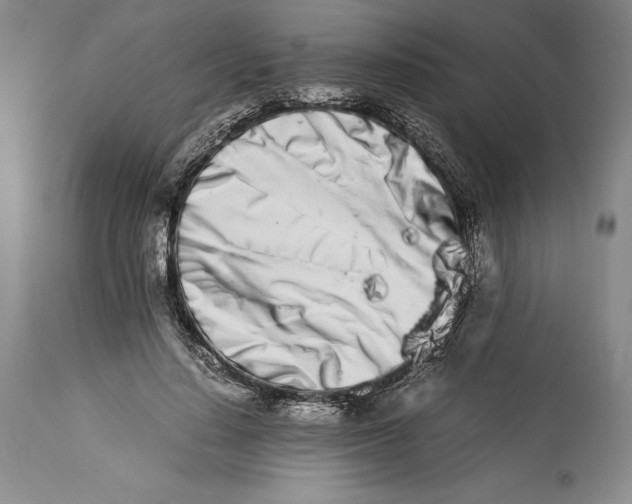 X0000113990644200910231730