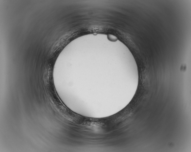 X0000113990645200910231730