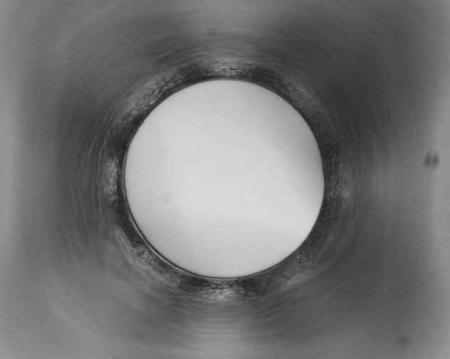 X0000113990646200910231730