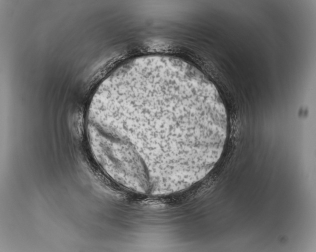 X0000113990648200910231730