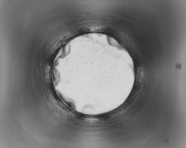 X0000113990650200910231730