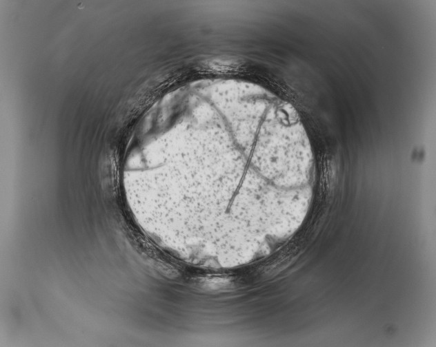 X0000113990651200910231730