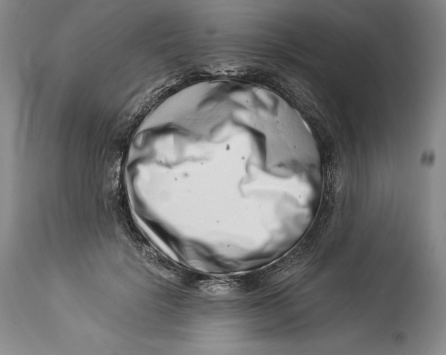 X0000113990652200910231730