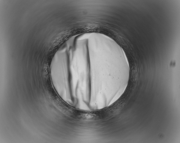 X0000113990654200910231731