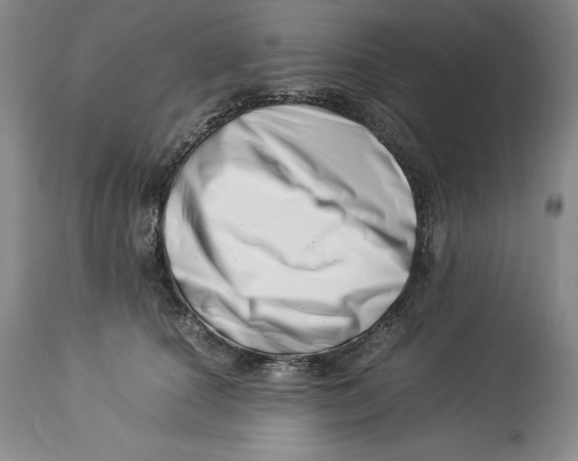 X0000113990660200910231731