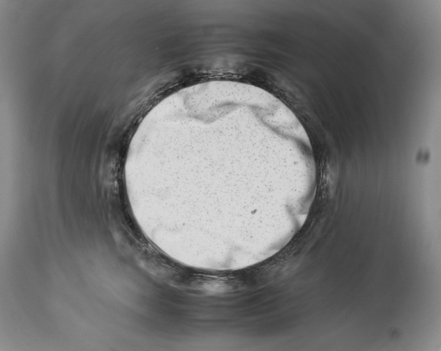 X0000113990663200910231731