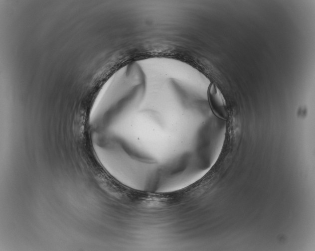 X0000113990664200910231731