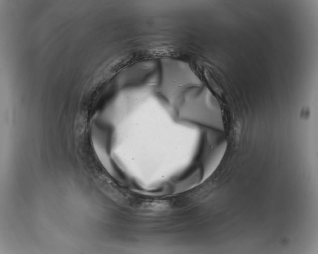 X0000113990665200910231731