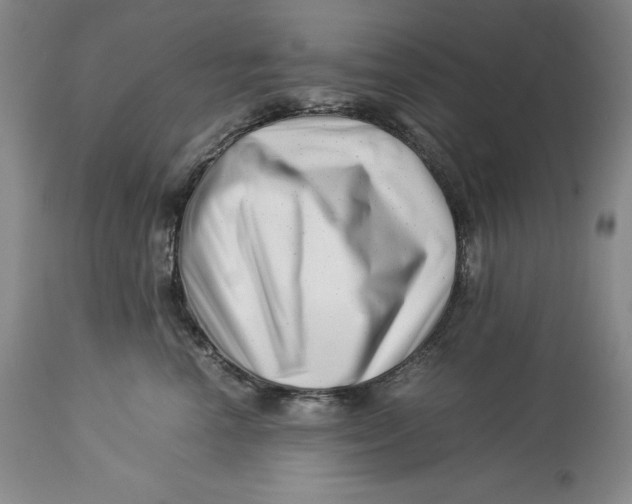 X0000113990666200910231731