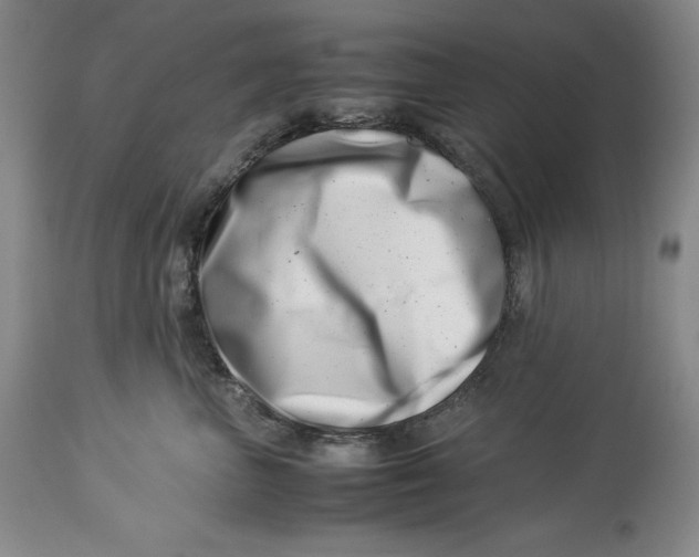 X0000113990667200910231731