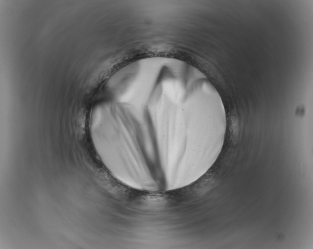 X0000113990668200910231731