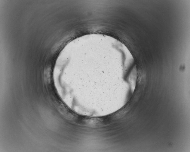 X0000113990670200910231731