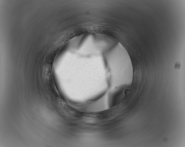 X0000113990671200910231731