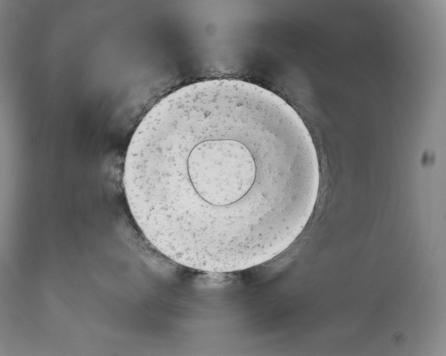 X0000113990672200910231731