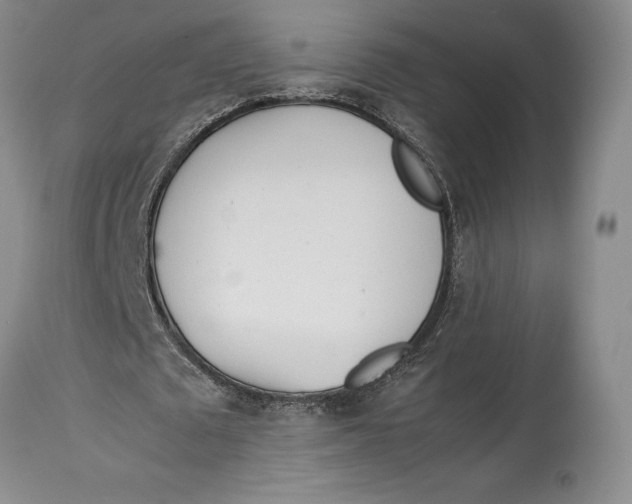 X0000113990673200910231730