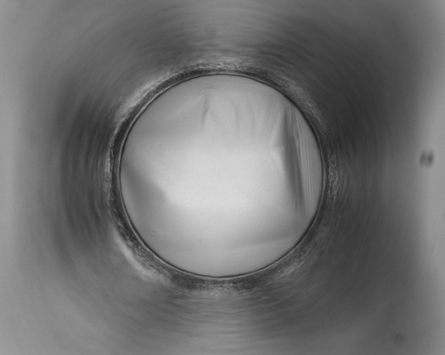 X0000113990674200910231730