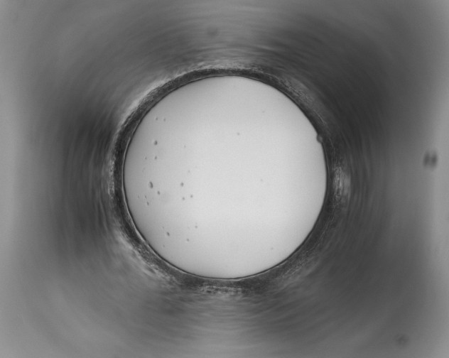 X0000113990676200910231730