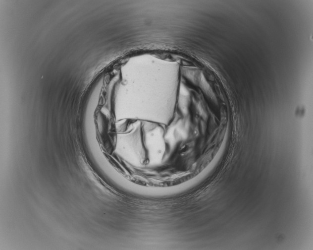 X0000113990677200910231730