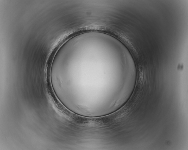 X0000113990678200910231730