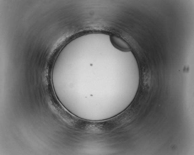 X0000113990680200910231730