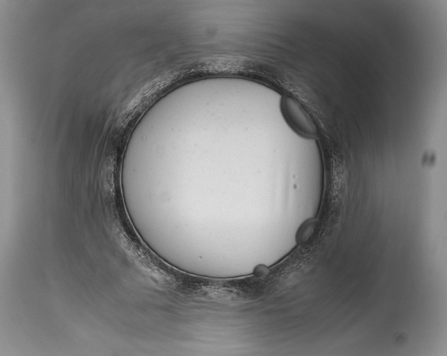 X0000113990681200910231730