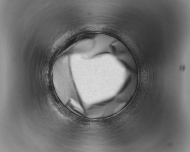 X0000113990682200910231730