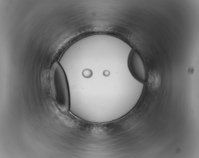 X0000113990684200910231730