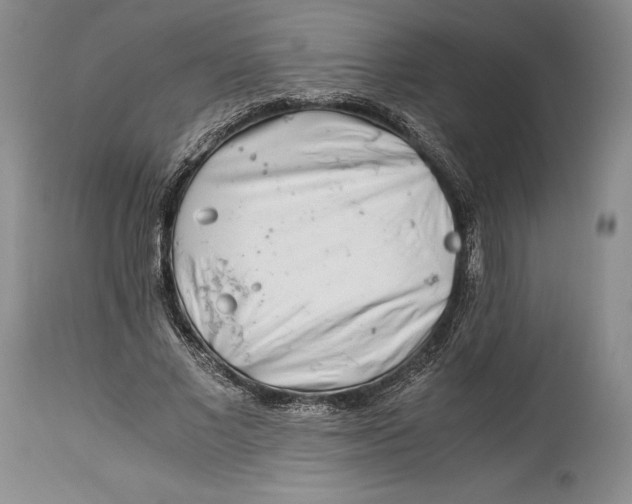 X0000113990685200910231730