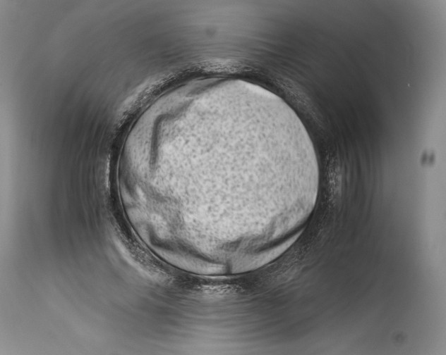 X0000113990686200910231730