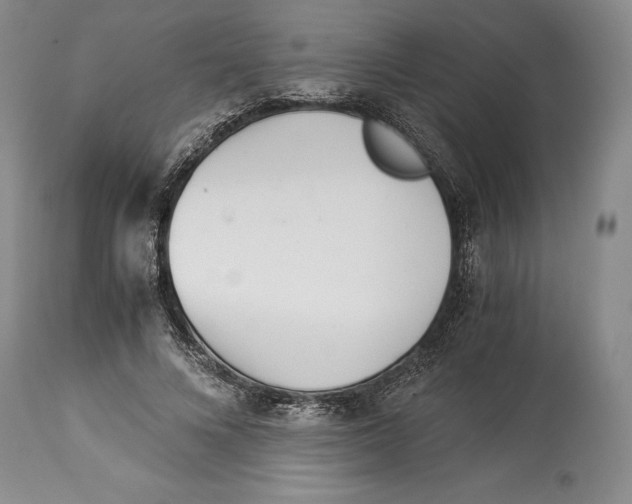 X0000113990688200910231730