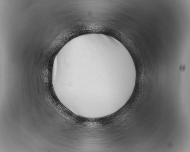 X0000113990689200910231730