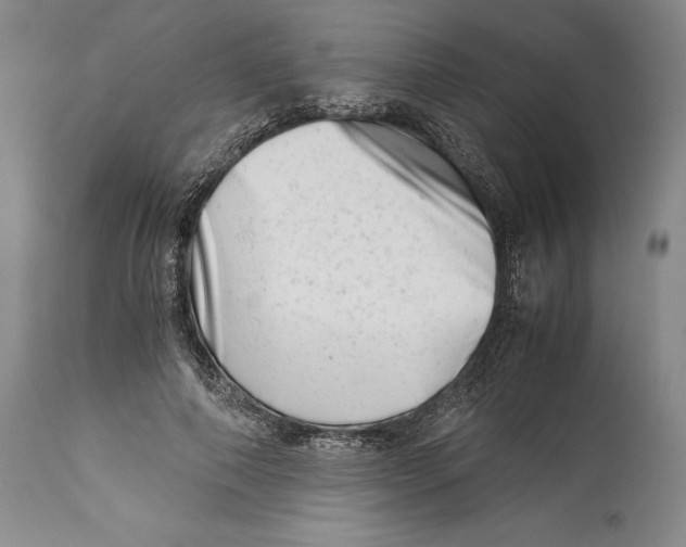 X0000113990690200910231730