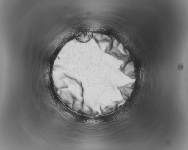 X0000113990691200910231730