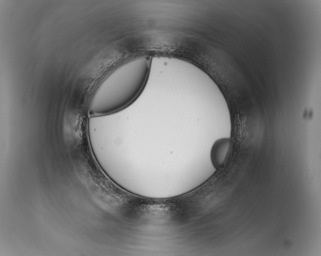 X0000113990692200910231730