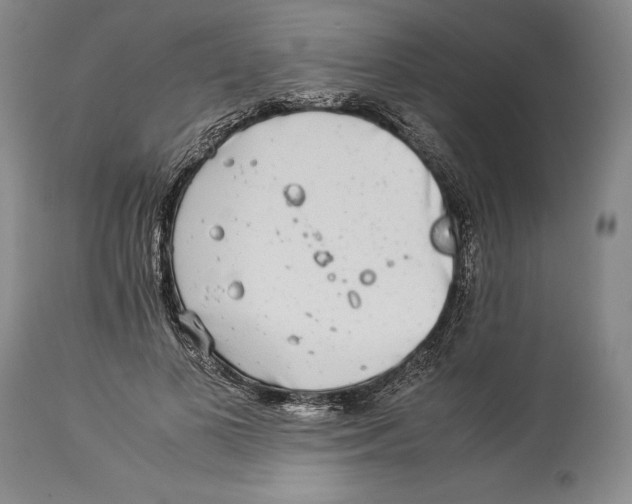 X0000113990693200910231730