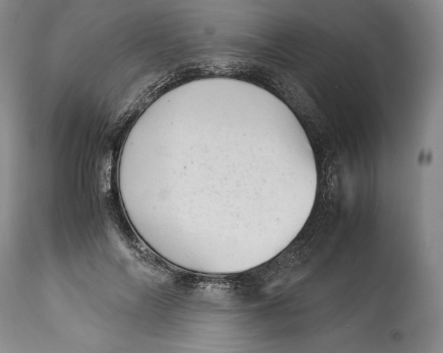 X0000113990694200910231730