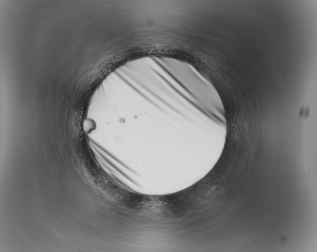 X0000113990695200910231730