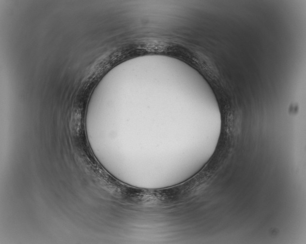 X0000113990697200910231730