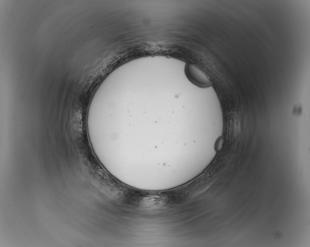 X0000113990700200910231730