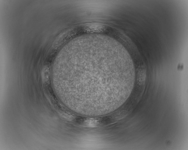 X0000113990701200910231730