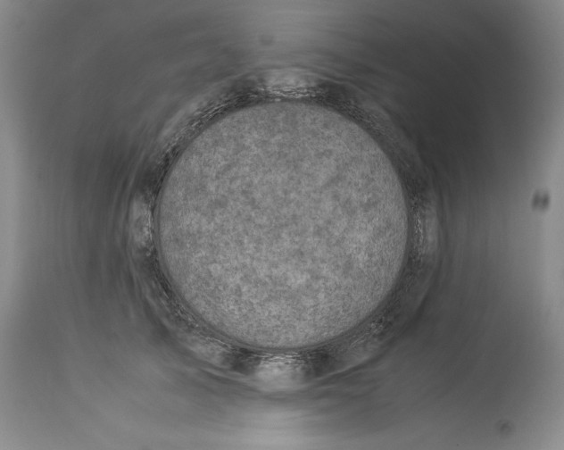 X0000113990705200910231730