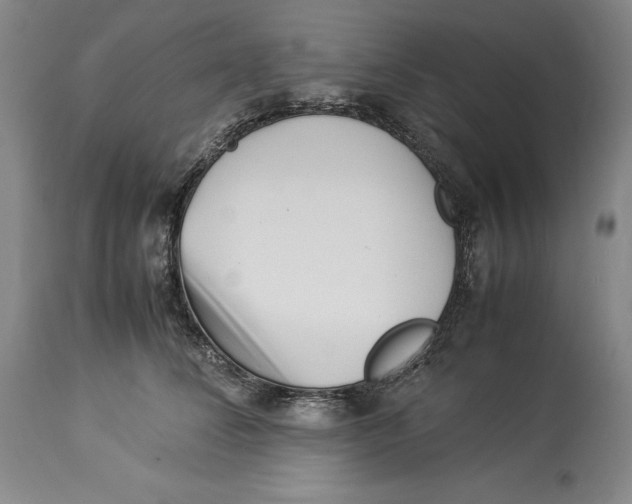 X0000113990708200910231730