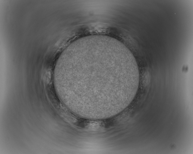 X0000113990709200910231730