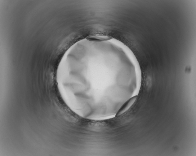 X0000113990716200910231730